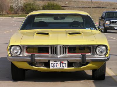 g3/77/498077/3/56979252.YellowBarracuda.jpg