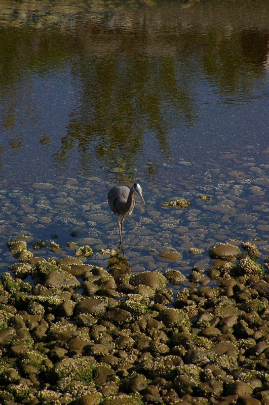 IMGP0576.jpg