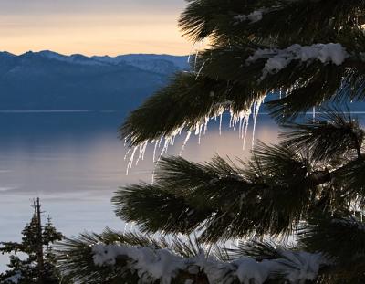 Icicles at Lake Tahoe 12-5-5