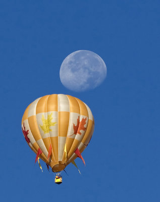 UnderTheMoon.jpg