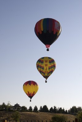 IMG_0730.jpg