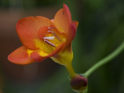 g3/77/588477/3/110173575.RZ4d0oK4.jpg