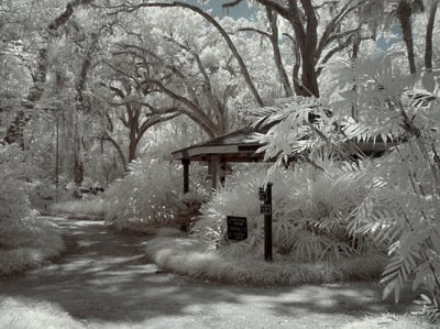 sugar_mill_infrared