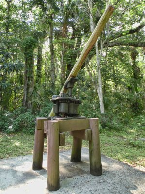 Mule Drawn Cane Mill