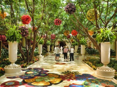 Wynn