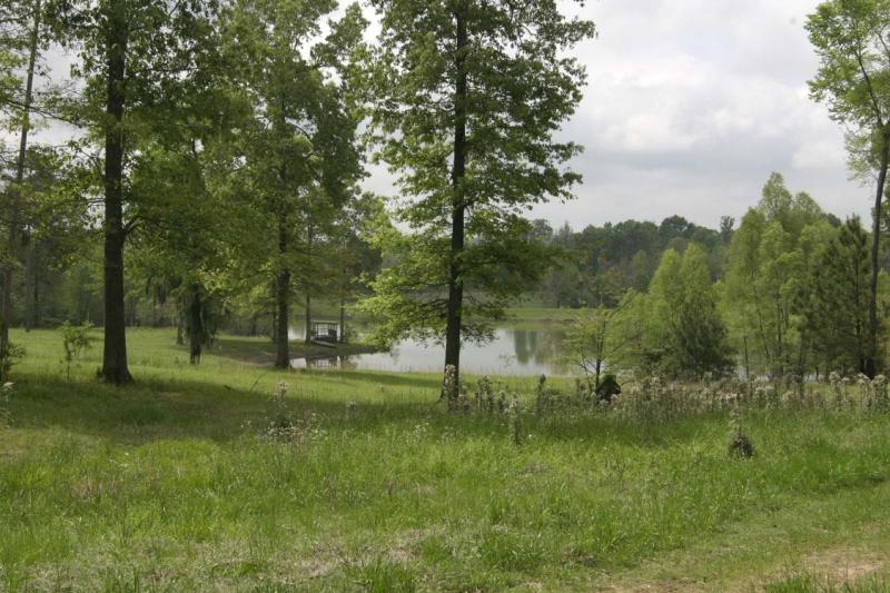Lake behind camp.jpg