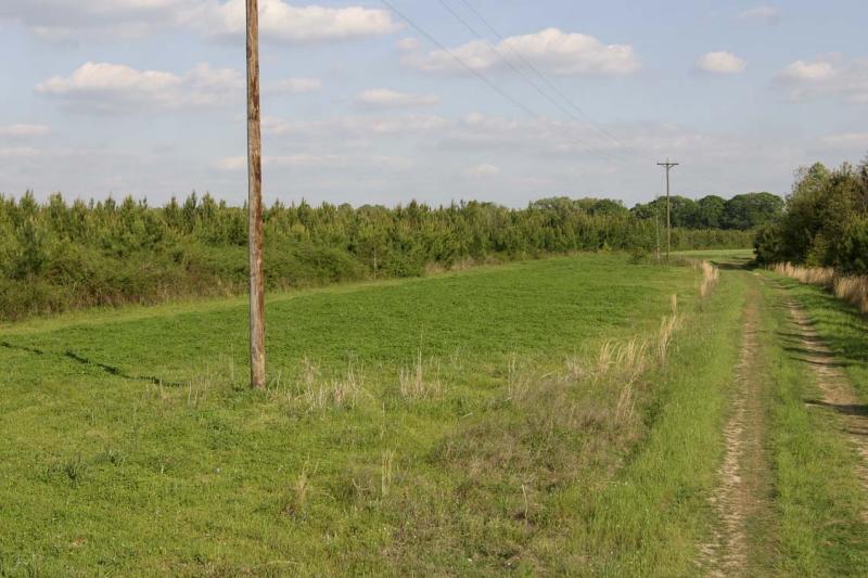 Powerline field