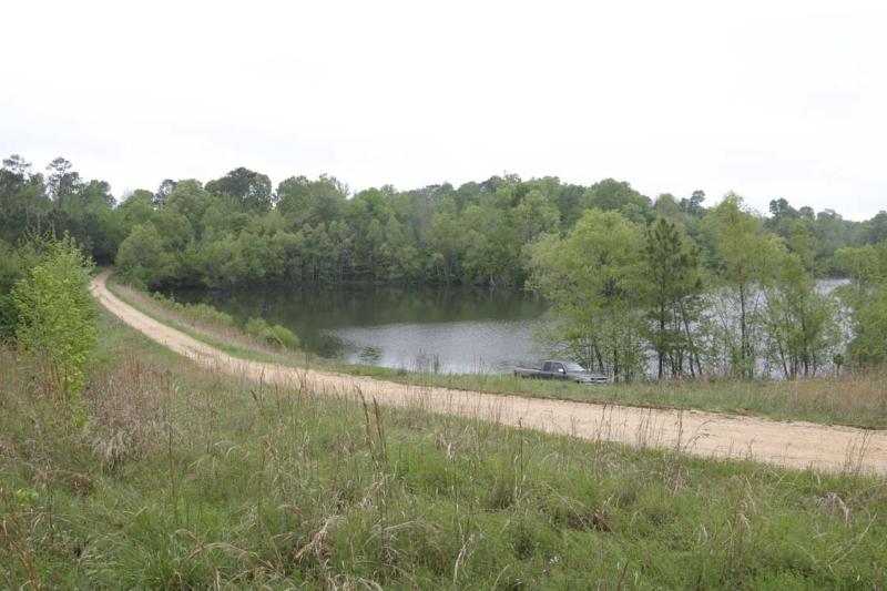 Dam Road