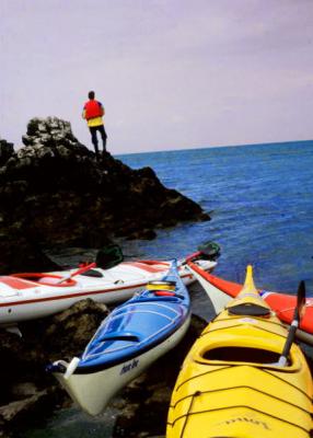 Seal Island   Anglesey
