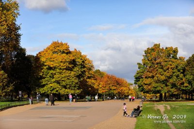 Kensington D700_05392 copy.jpg