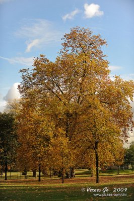 Kensington D700_05415 copy.jpg