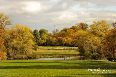 Kensington D700_05416 copy.jpg