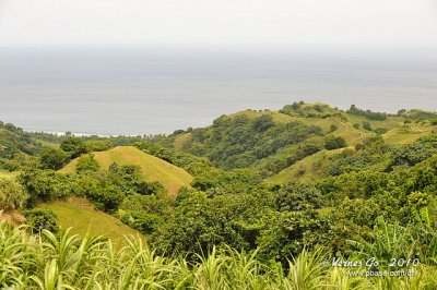 D700_08892 copy.jpg