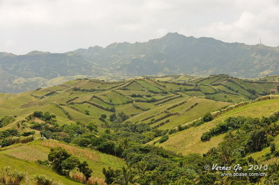 D700_08905 copy.jpg