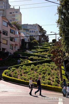 Lombard Street DSCb_03313 copy.jpg