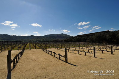 Robert Mondavi Winery D300_06689 copy.jpg