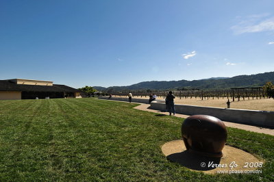 Robert Mondavi Winery D300_06701 copy.jpg