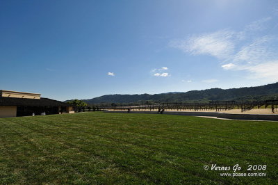 Robert Mondavi Winery D300_06702 copy.jpg