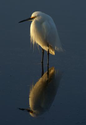 Calm at sunrise