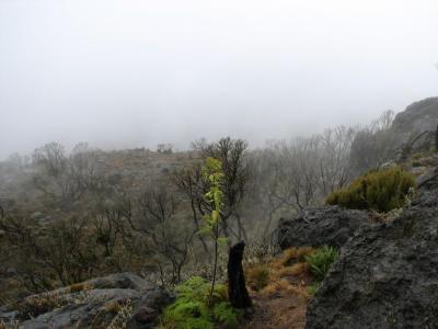 Foggy day.