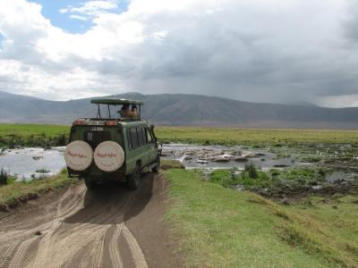 Ngorongoro