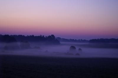 Misty Field