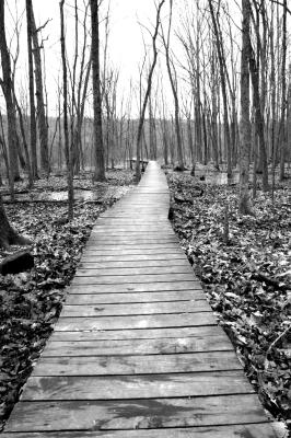 The Boardwalk