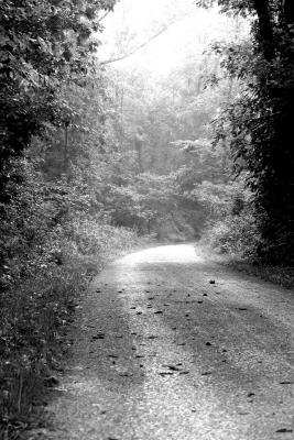 Towpath