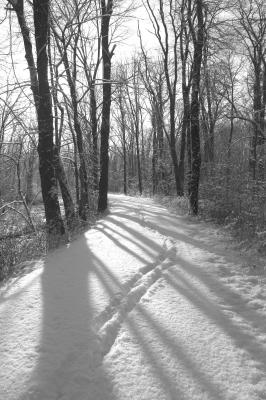 Snowy Path 3 bw.jpg