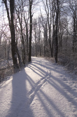 Snowy Path 3 color r.jpg