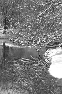 Hanging Tree