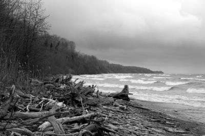 Erie Bluffs State Park #3