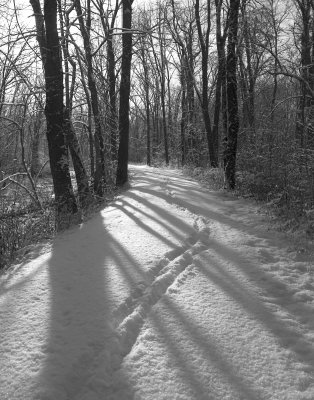 Snowy Path 3 IRFilter1114.jpg