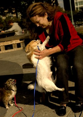 _DSC8405f.jpg