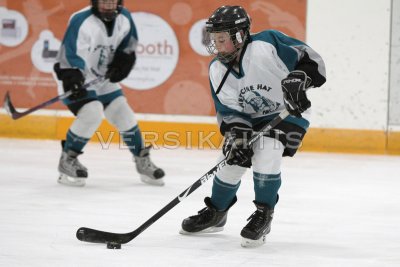 Sharks Players #12 - #15