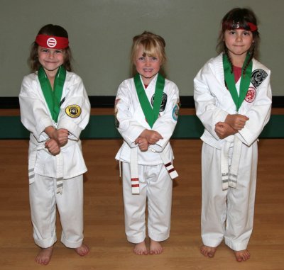Kata - Bronze & Silver Belt Division