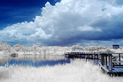Infrared 013.jpg