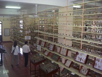 g3/77/74477/3/56913900.nhatrangIMGP0572.jpg