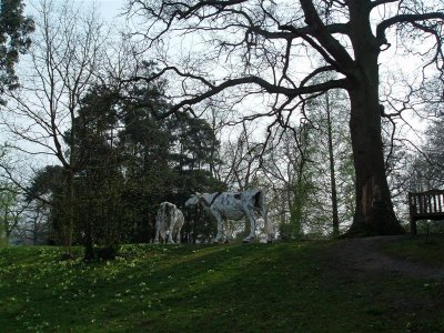 Cow sculpture at Burghley House