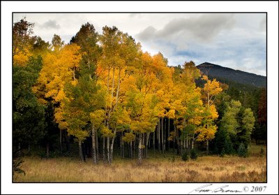 Horseshoe Park Autumn 5057.jpg