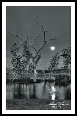 Moonrise Elm Lake.jpg