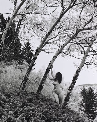 Goddess:The Nude in the Landscape