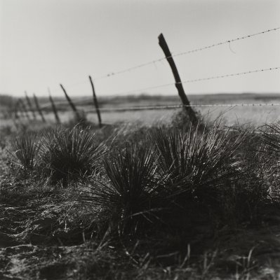 Commanche grasslands.jpg