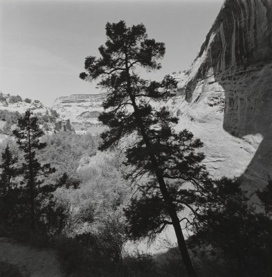 Dinosaur Monument_CO.jpg
