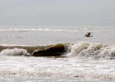 Zandvoort, North Sea Netherland 2007 #2