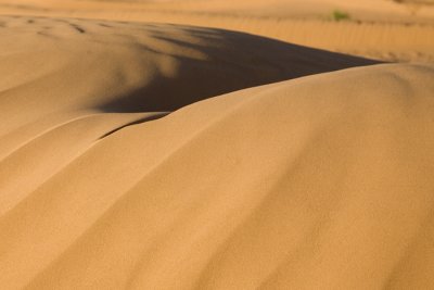 Sahara, Marokko 2007