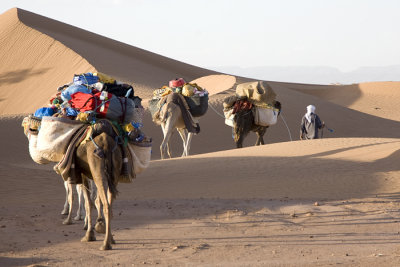 Desert walk, Morocco 2007