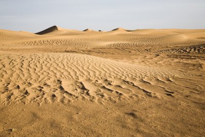 Sahara #9, Morocco 2007