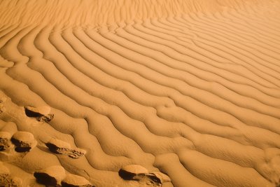 Desert, Morocco 2007