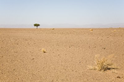 Desert #6 Morocco 2007